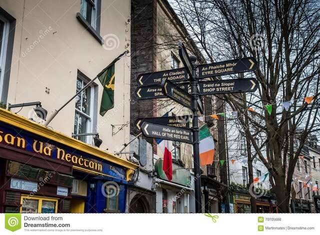 Отели типа «постель и завтрак» Tara Lodge Galway Голуэй-22